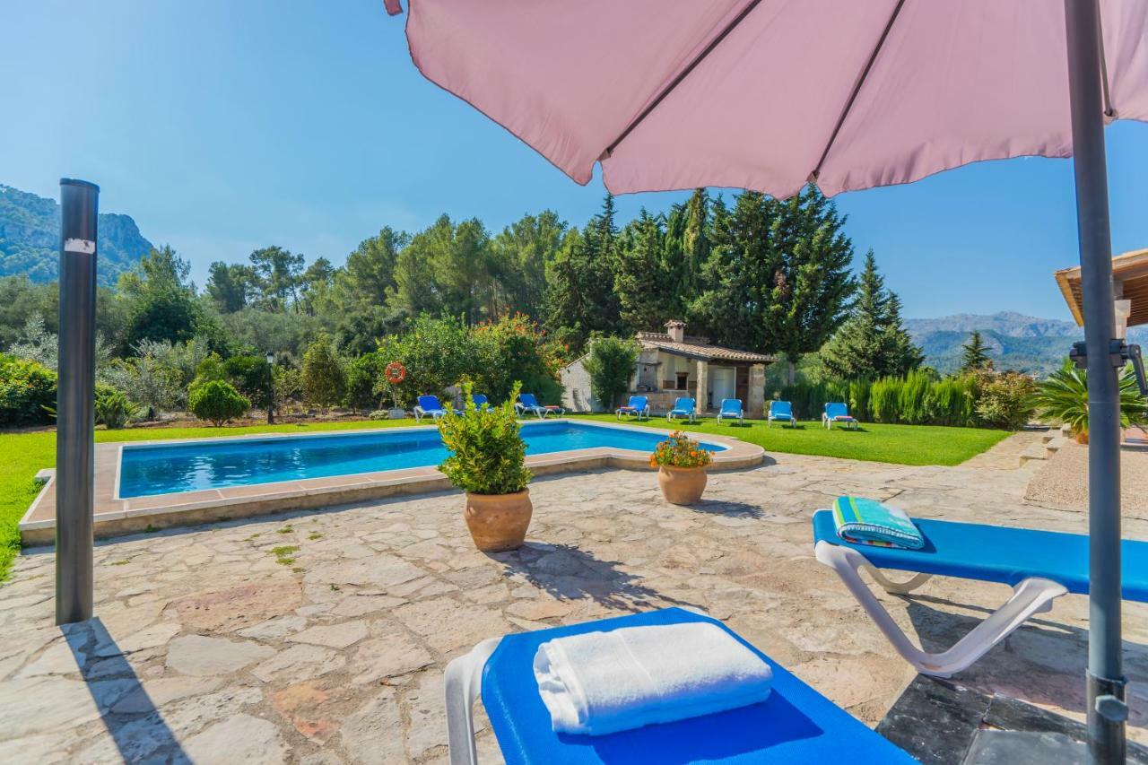 Villa El Olivo Польєнса Екстер'єр фото